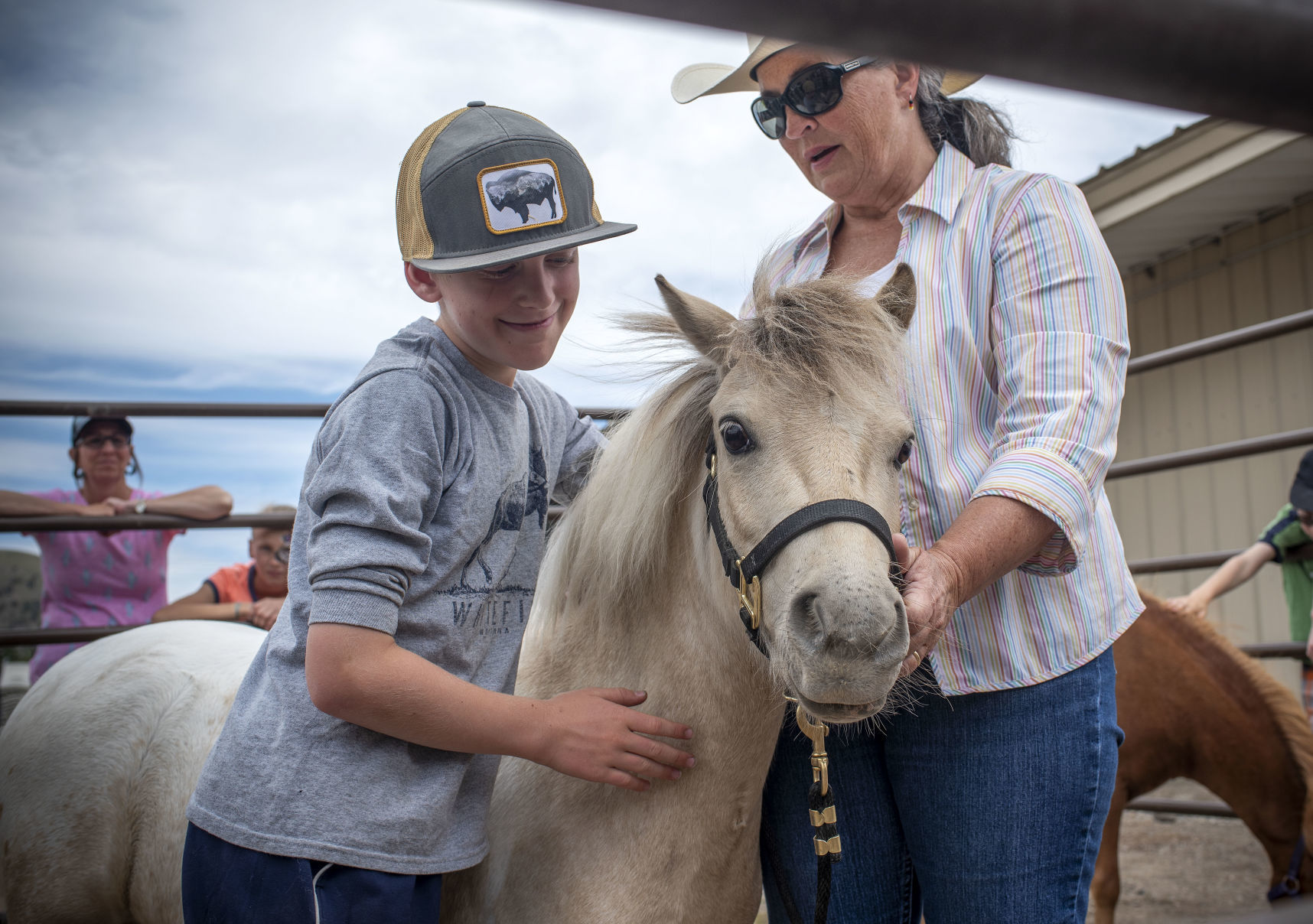 Miniature horses